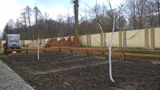 Фотографии услуг