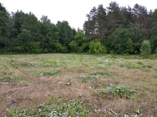 Расчистка участка