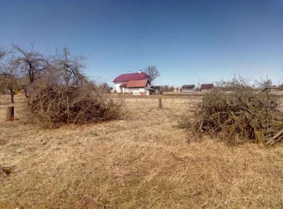 Уборка участка