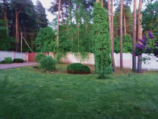 Фотографии услуг