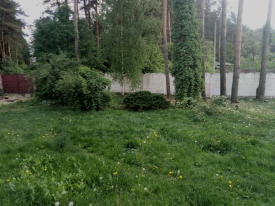 Фотографии услуг