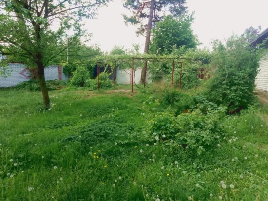 Фотографии услуг