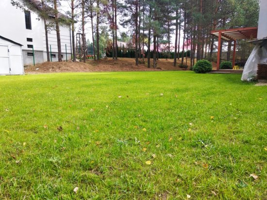 Фотографии услуг