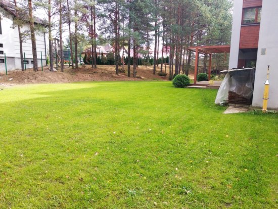 Фотографии услуг