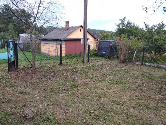 Фотографии услуг