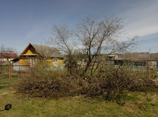 Фотографии услуг