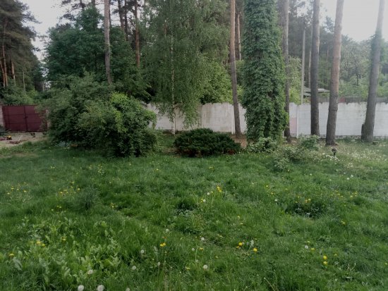 Фотографии услуг