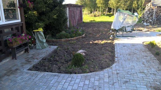 Фотографии услуг