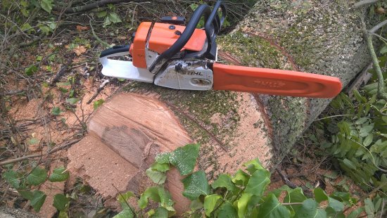 Фотографии услуг