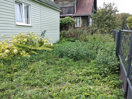 Фотографии услуг