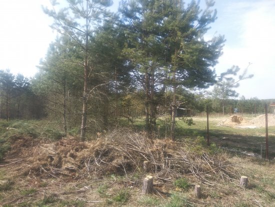 Фотографии услуг