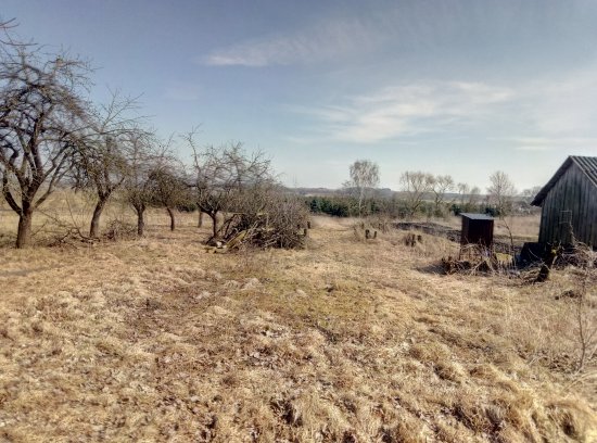 Фотографии услуг