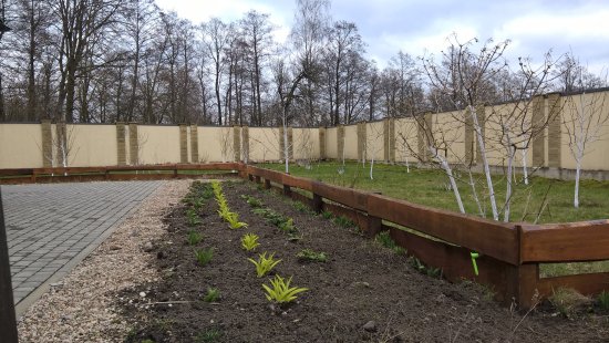 Фотографии услуг