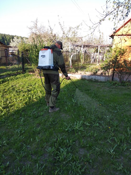 Фотографии услуг