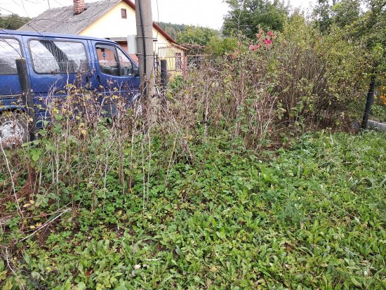 Фотографии услуг