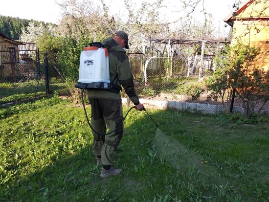 Химическая обработка участка