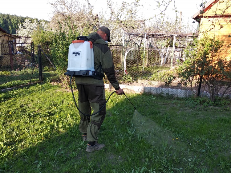 Химическая обработка участка