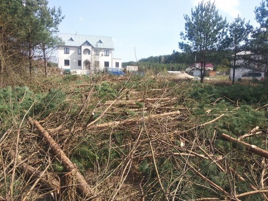 Фотографии услуг