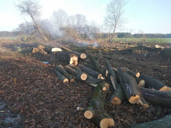 Фотографии услуг