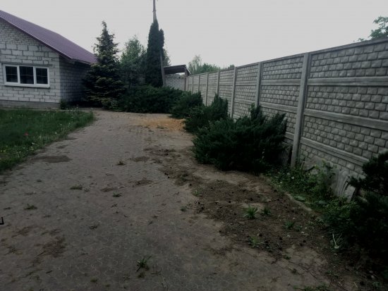 Фотографии услуг