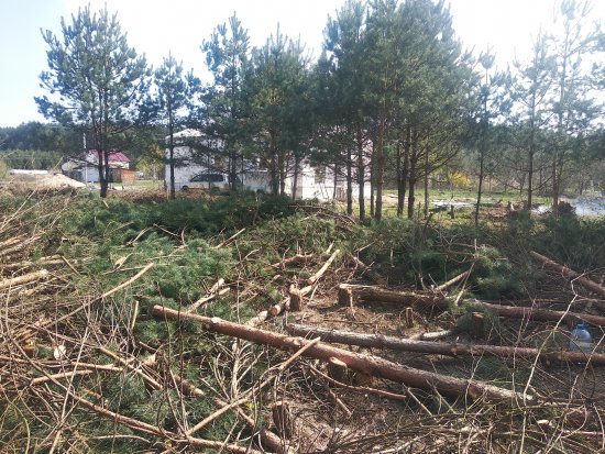 Фотографии услуг