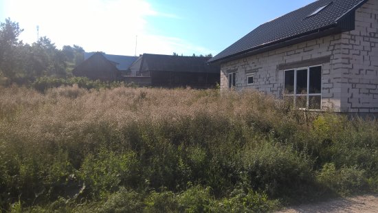 Фотографии услуг